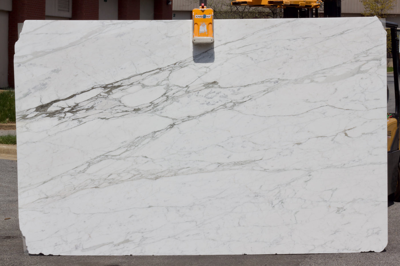 Calacatta Caldia - Lot 1593