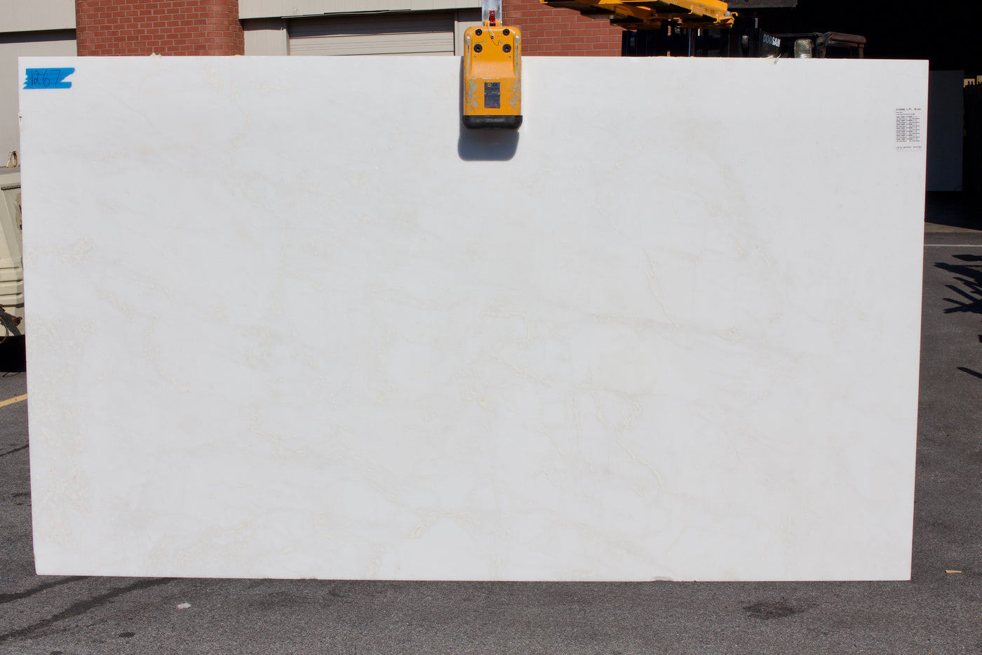 Mystery White - Lot 1267