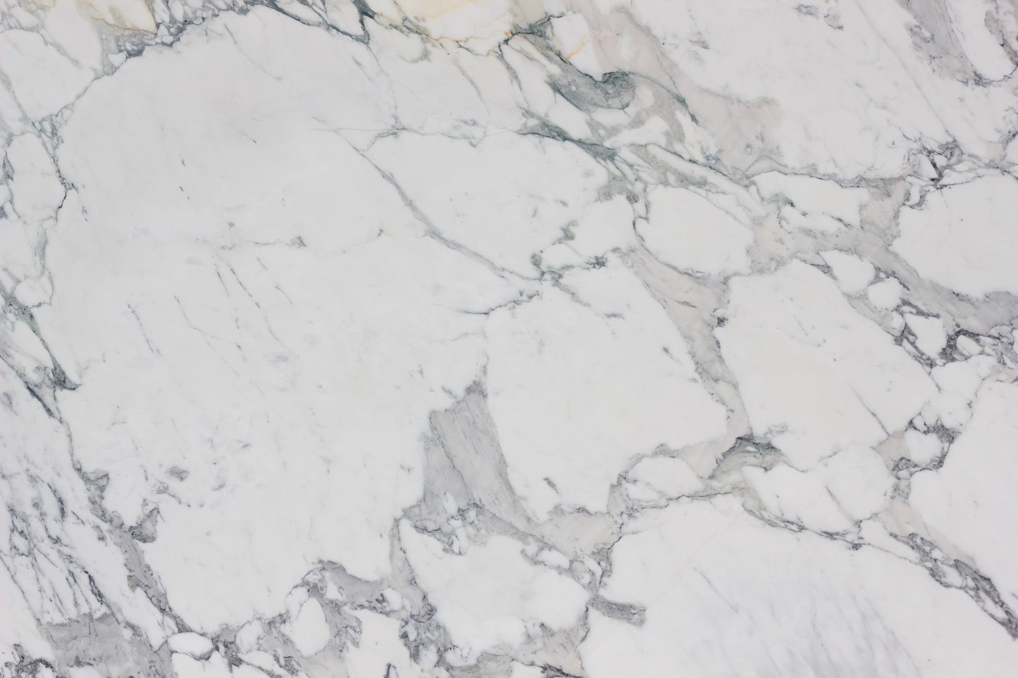 Breccia Capraia - Lot 1563 - 2CM - 123x78