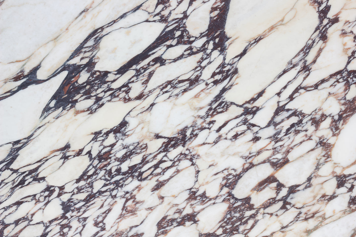 Calacatta Monet - Lot 1375 - 110x59