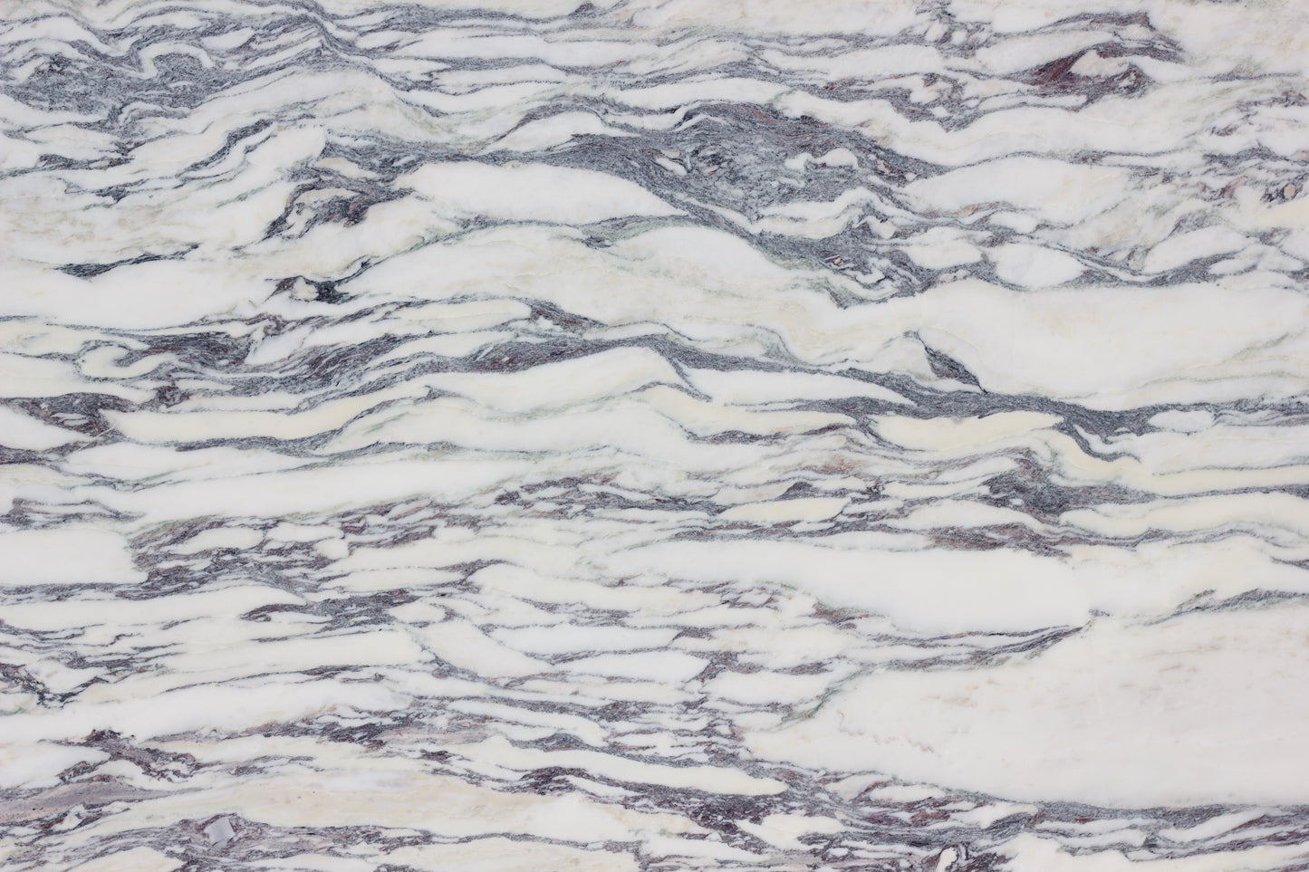 Viola Classic - Lot 1599 - 3CM - 135x71