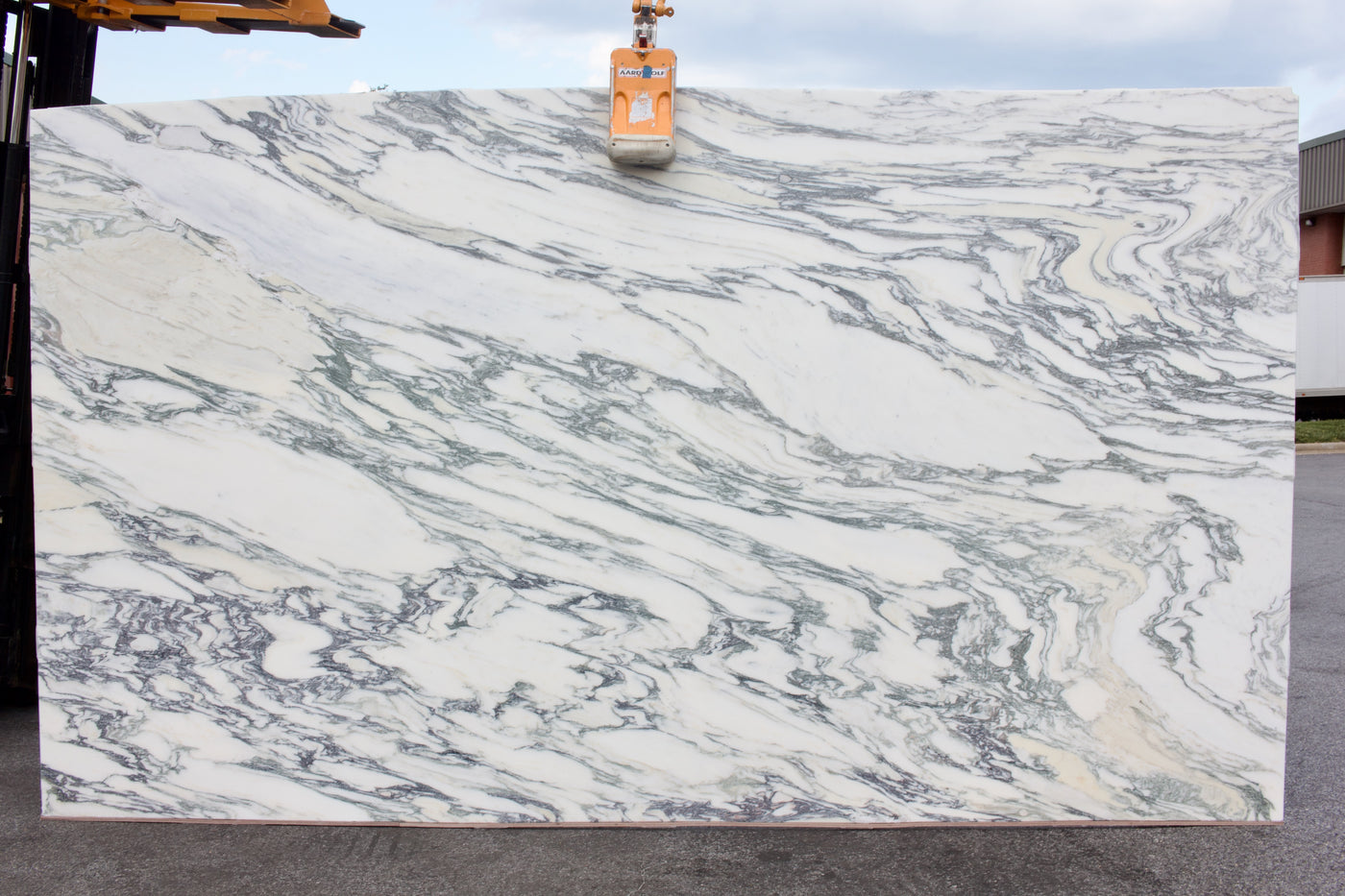 Viola Classic - Lot 1523 - 3CM - 136x77