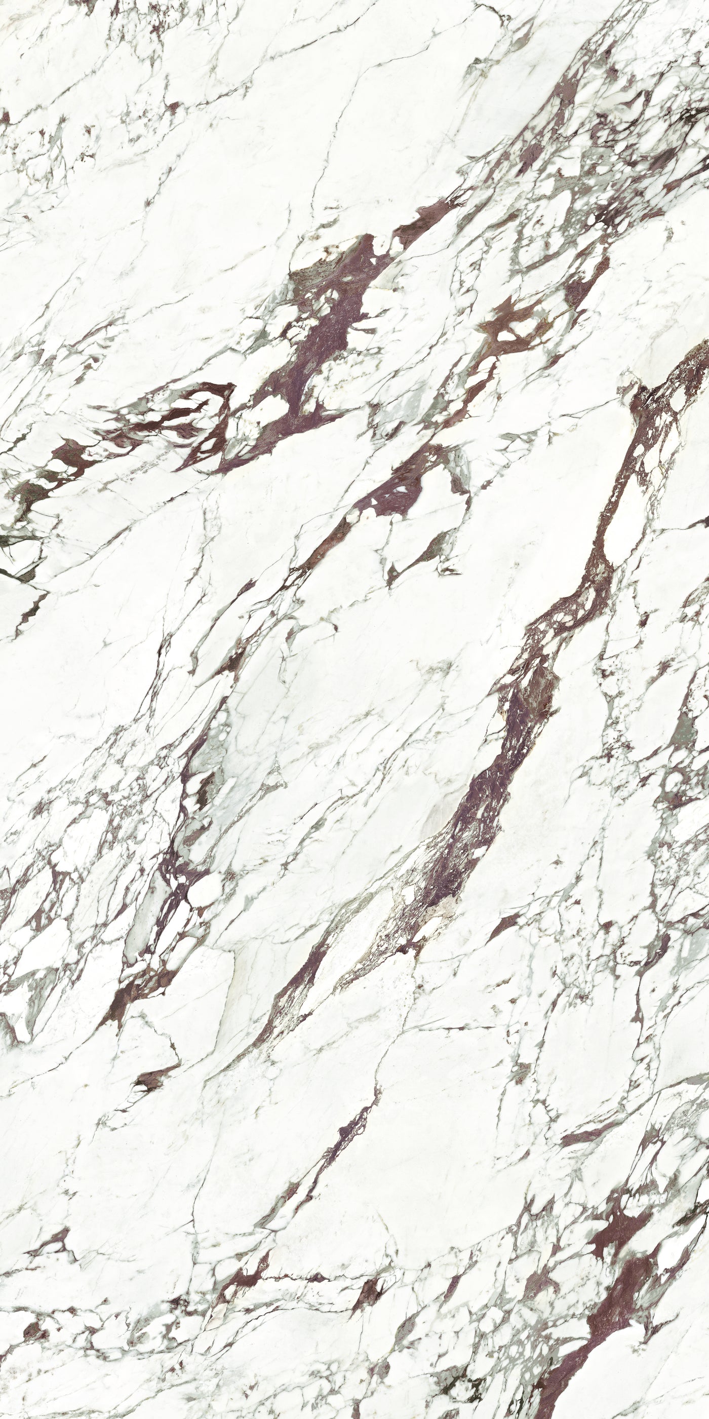 Breccia Capraia — A Face