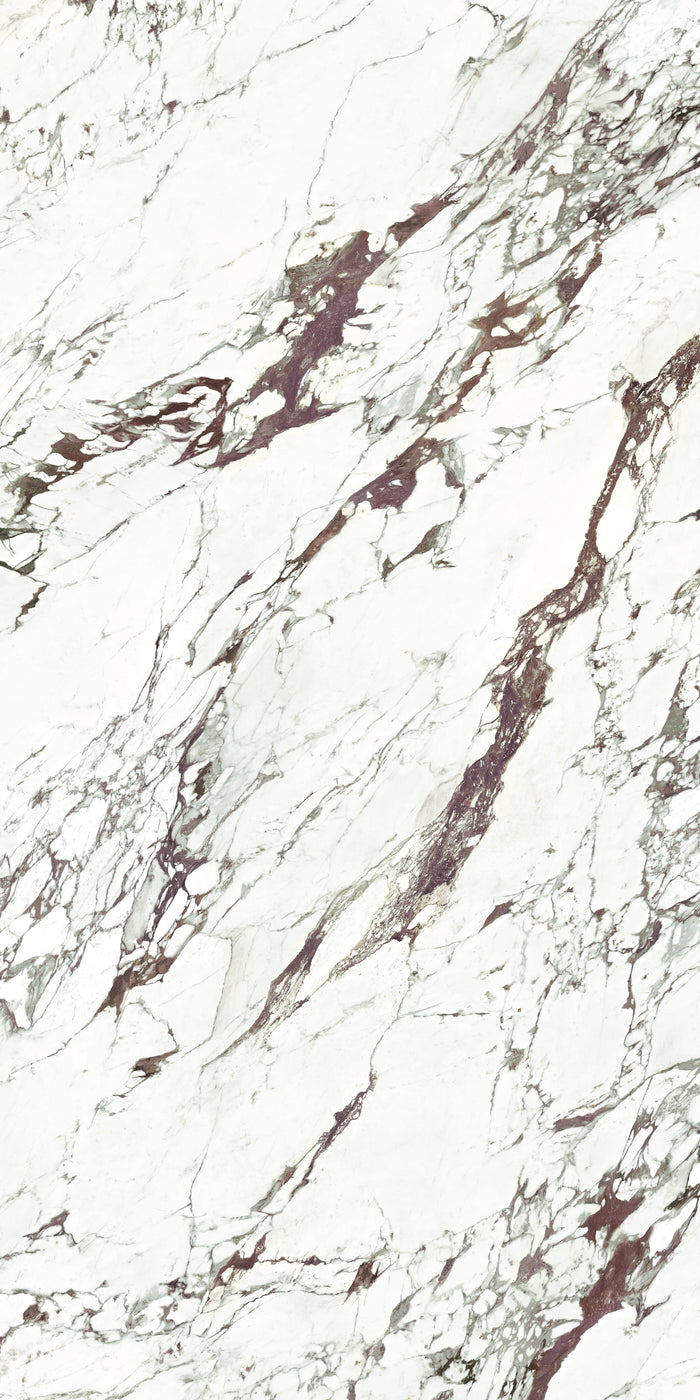 Breccia Capraia