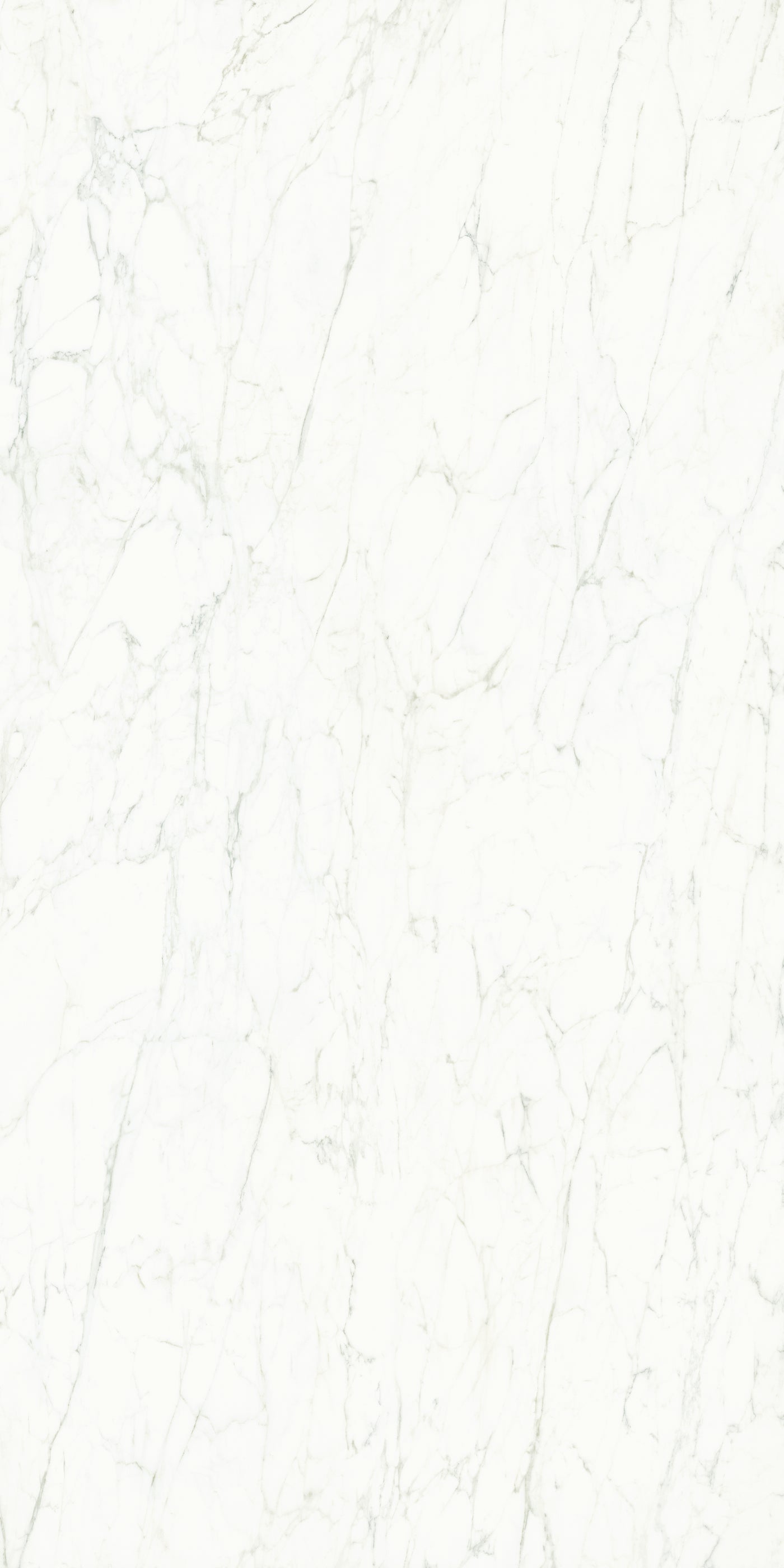 Calacatta Caldia — A Face