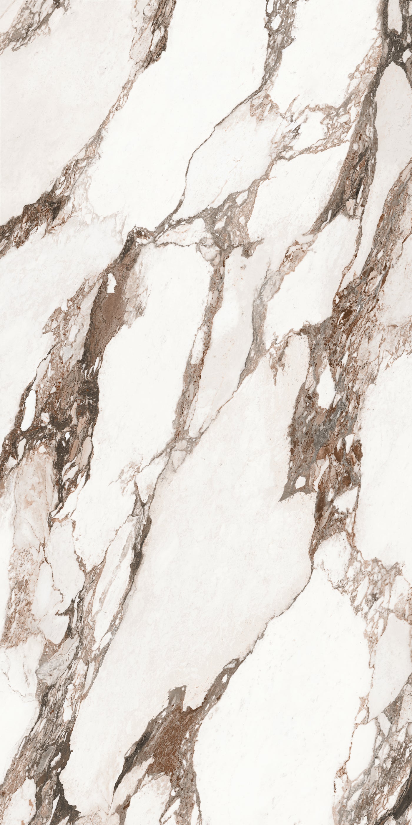 Calacatta Prestigio — A Face