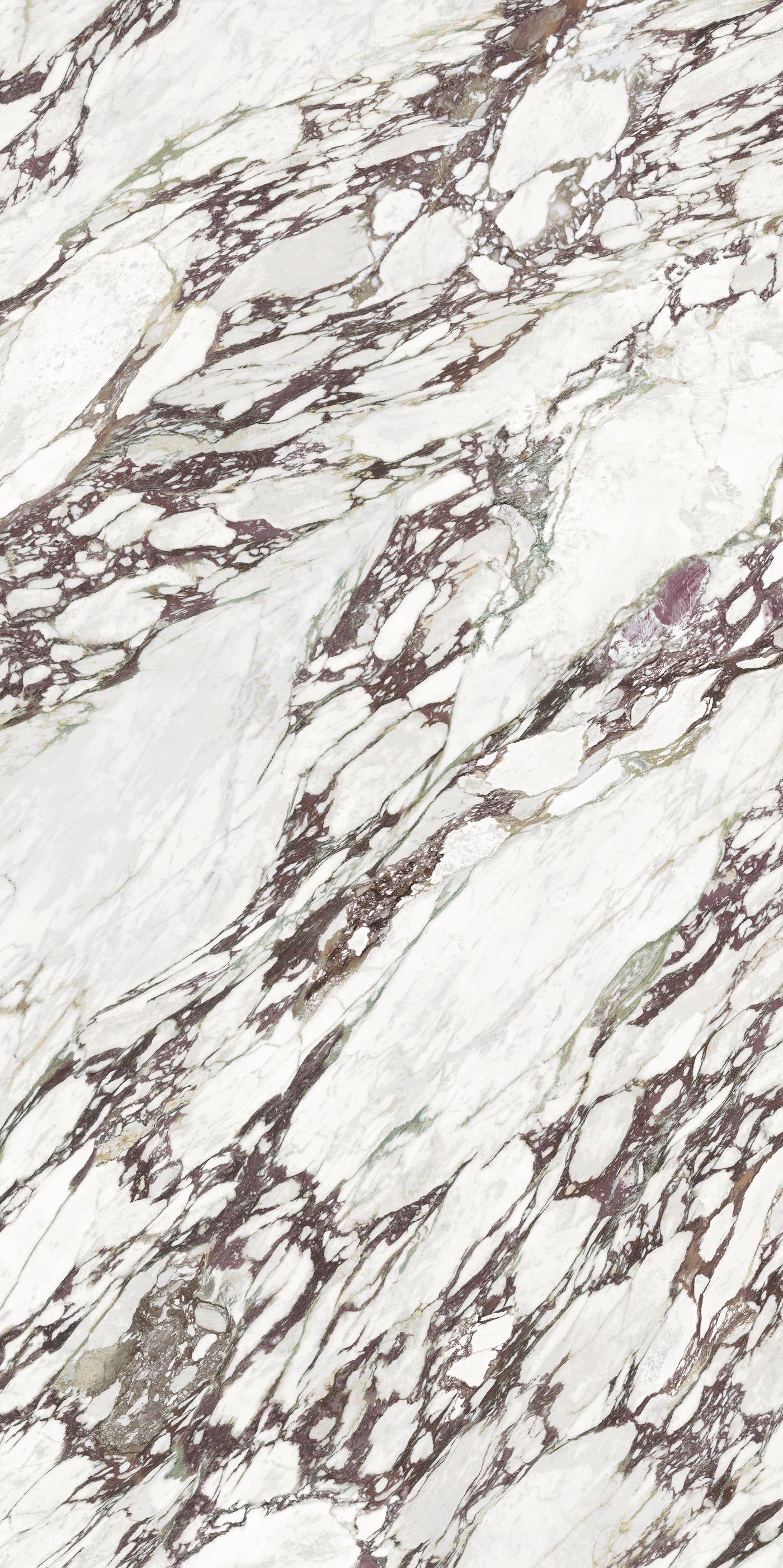Calacatta Viola — A Face
