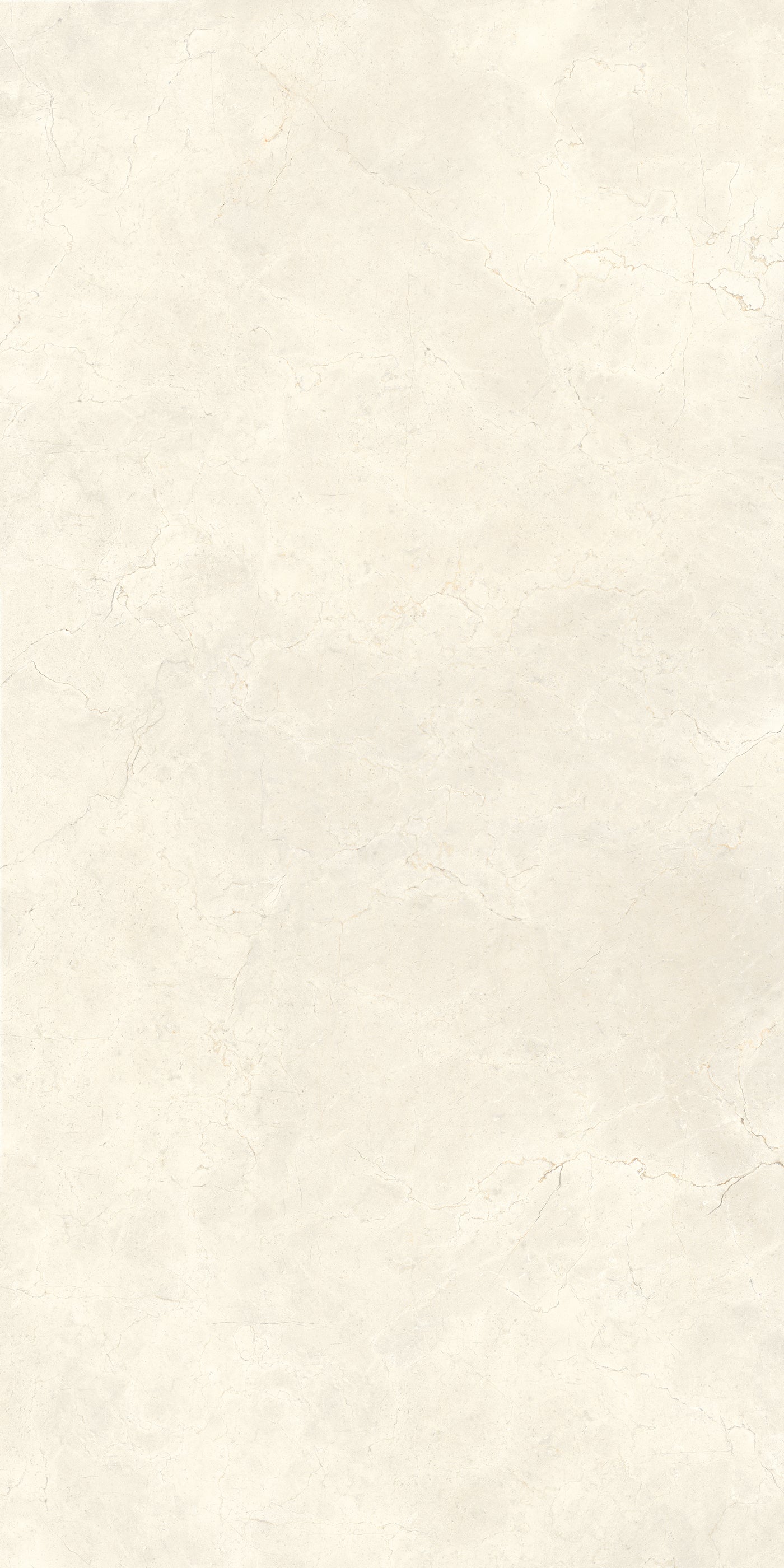 Calcis Avorio — A Face