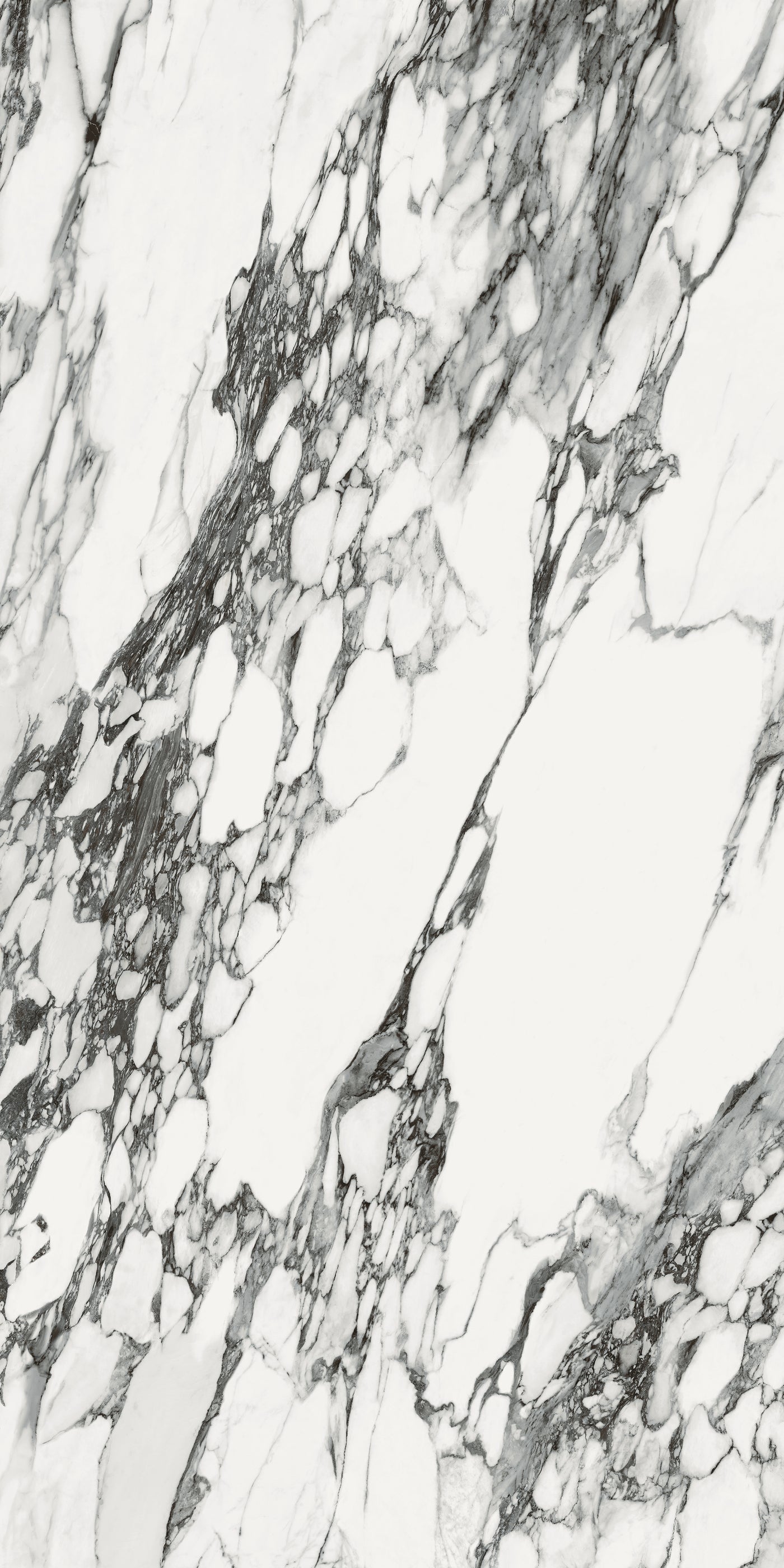 Corchia Nero — A Face