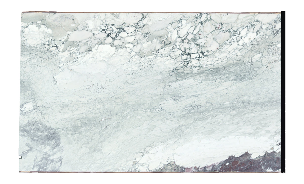 Lot 1570 white background