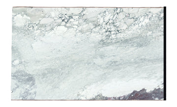 Lot 1570 white background