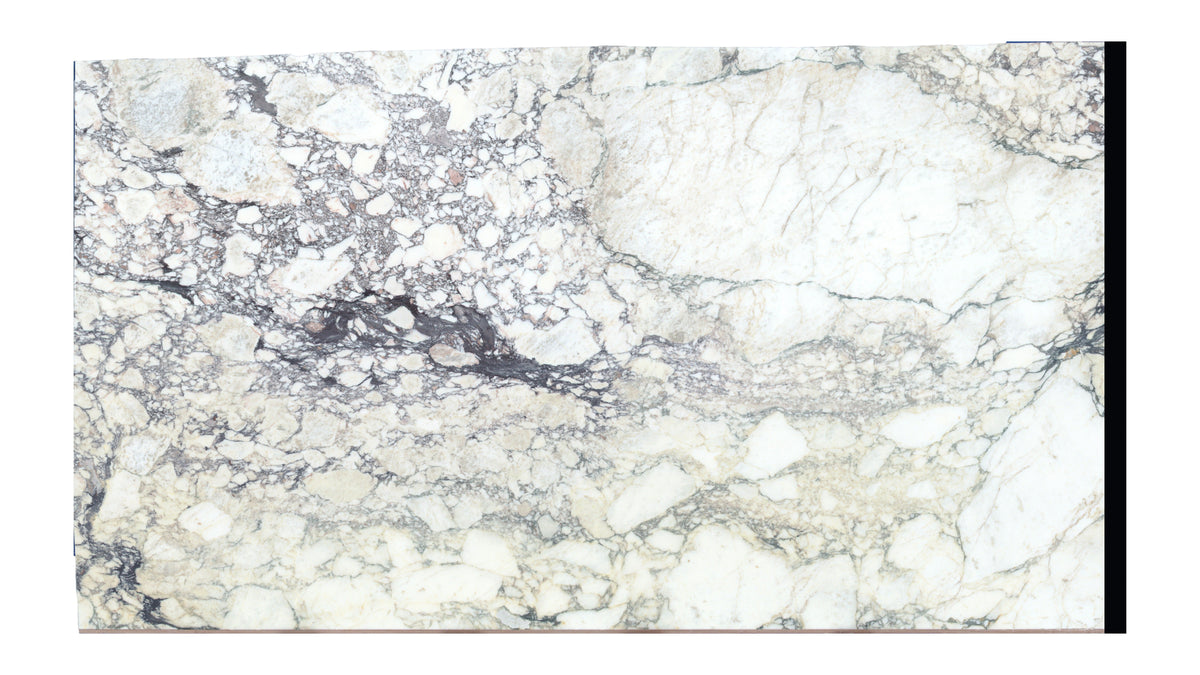 Lot 1589 white background