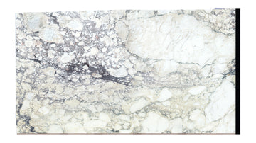 Lot 1589 white background