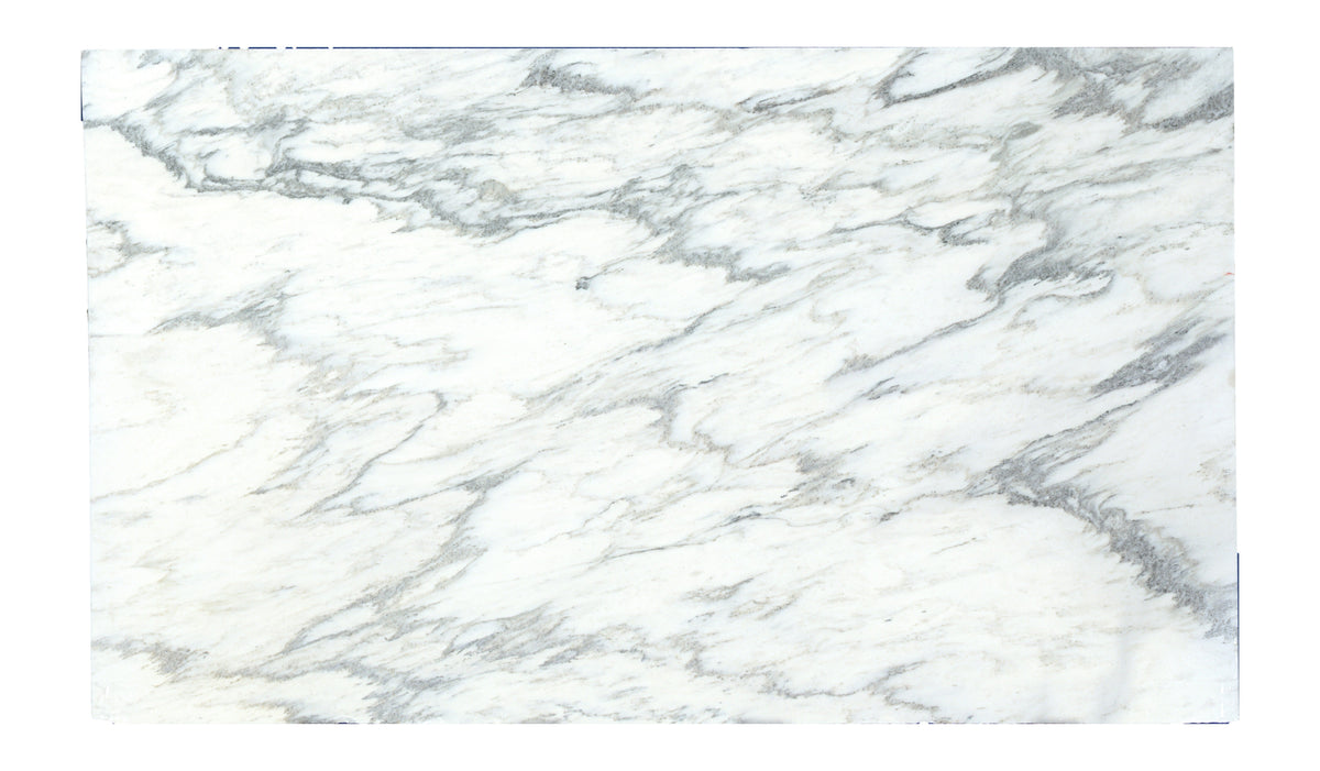 Lot 1610 white background