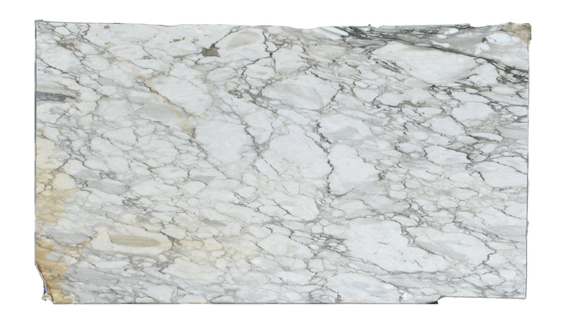 Calacatta Cremo - Lot 1613 - 2CM  - 123x67