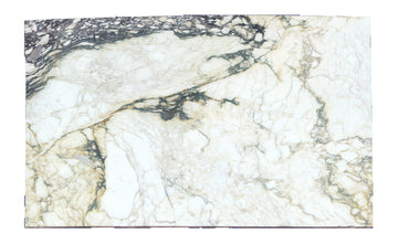 Lot 1617 white background