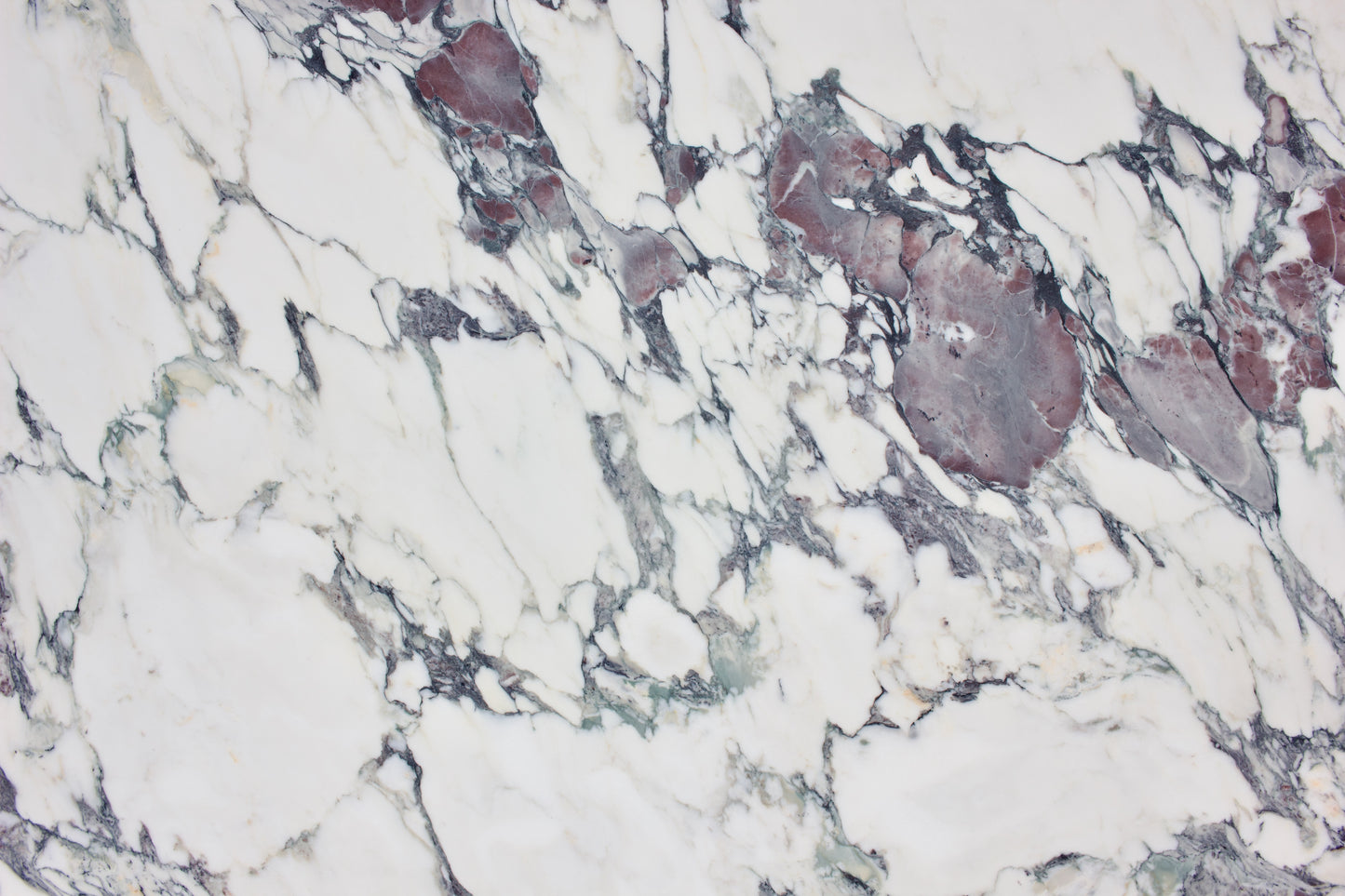 Breccia Capraia - Lot 1509 - 2CM Honed - 125x77