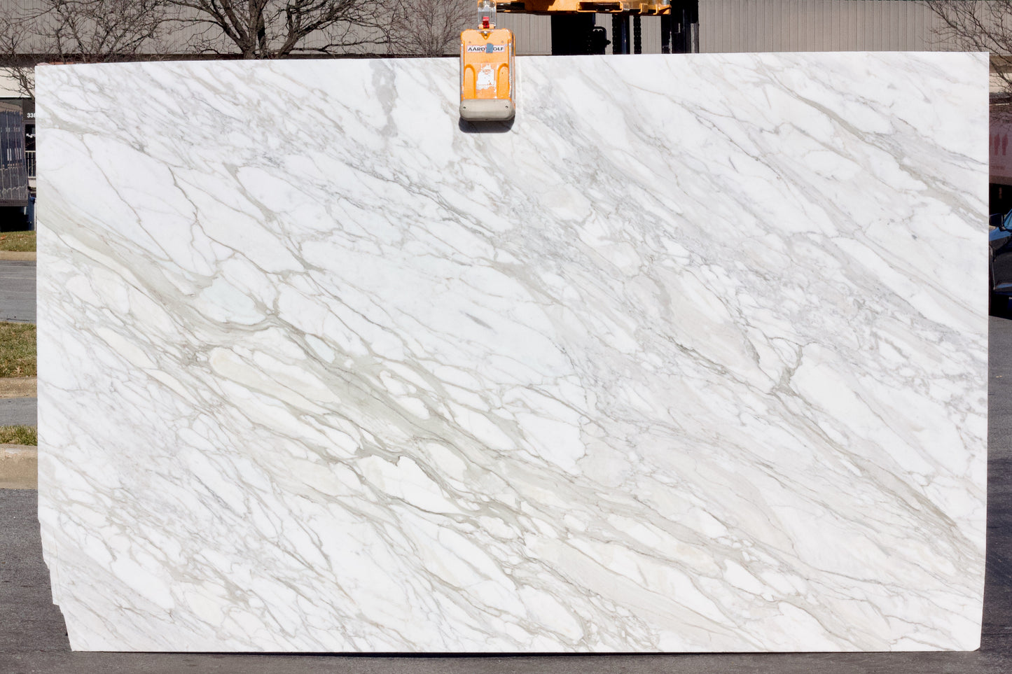 Calacatta Gold - Lot 1569 - 3CM  - 127x79