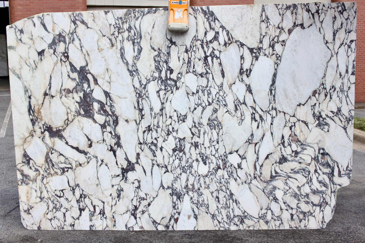 Calacatta Viola - Lot 1507 - 3CM Honed - 114x74