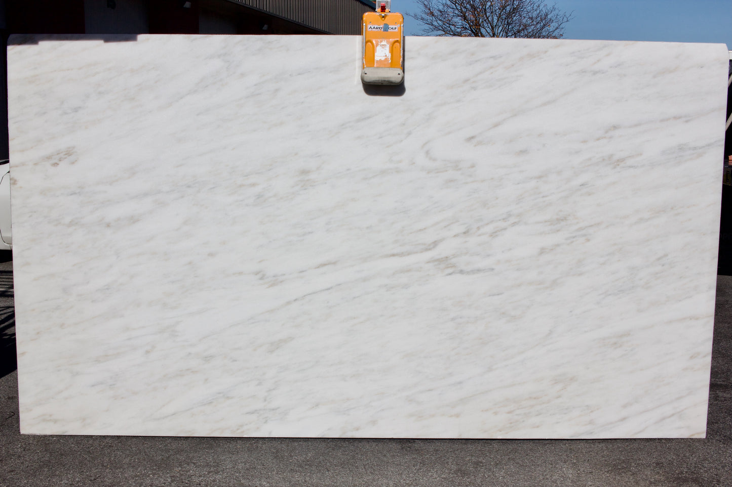 Imperial Danby - Lot 1561 - 3CM  - 125x71