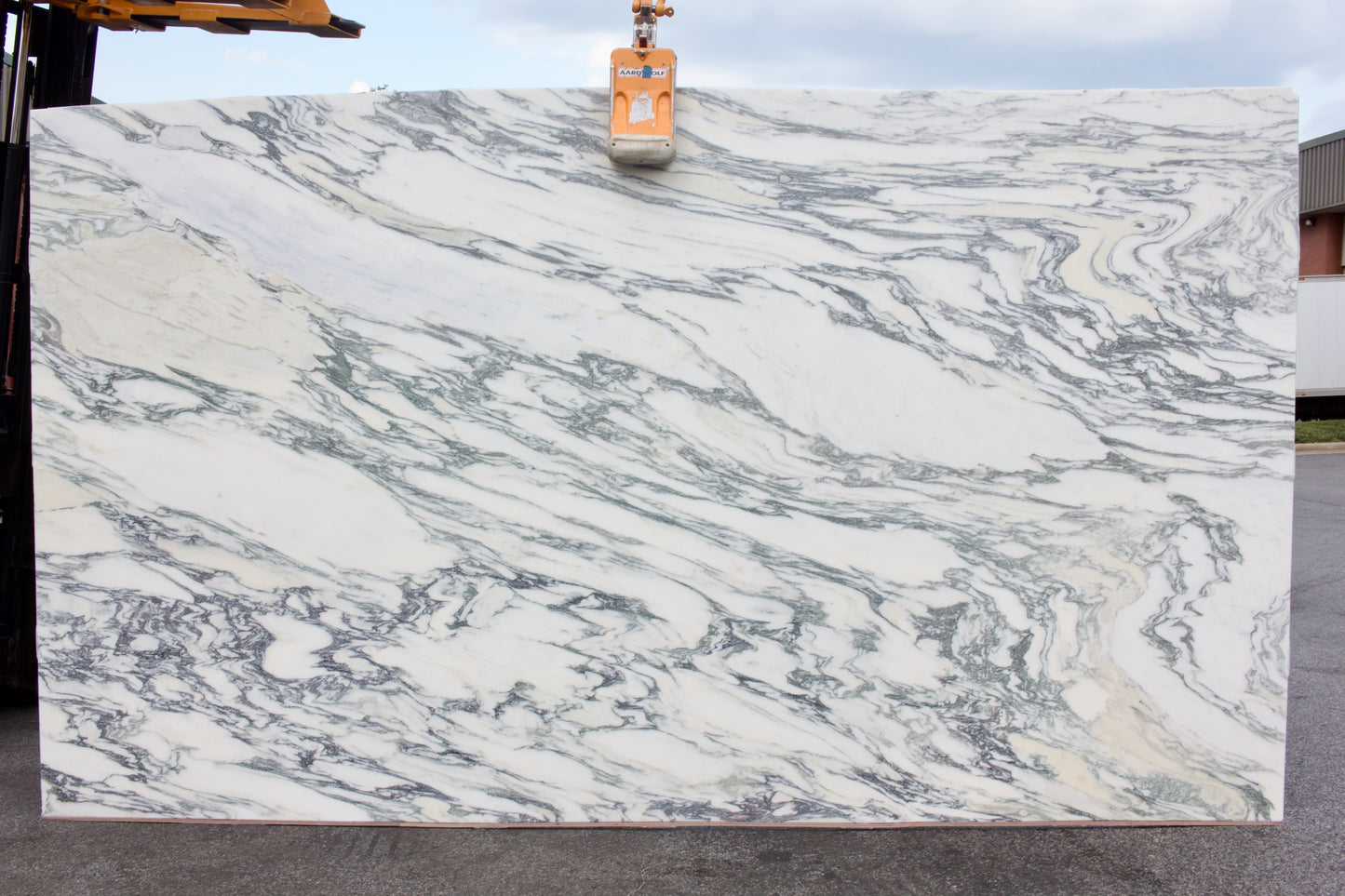 Viola Classic - Lot 1523 - 3CM  - 136x77