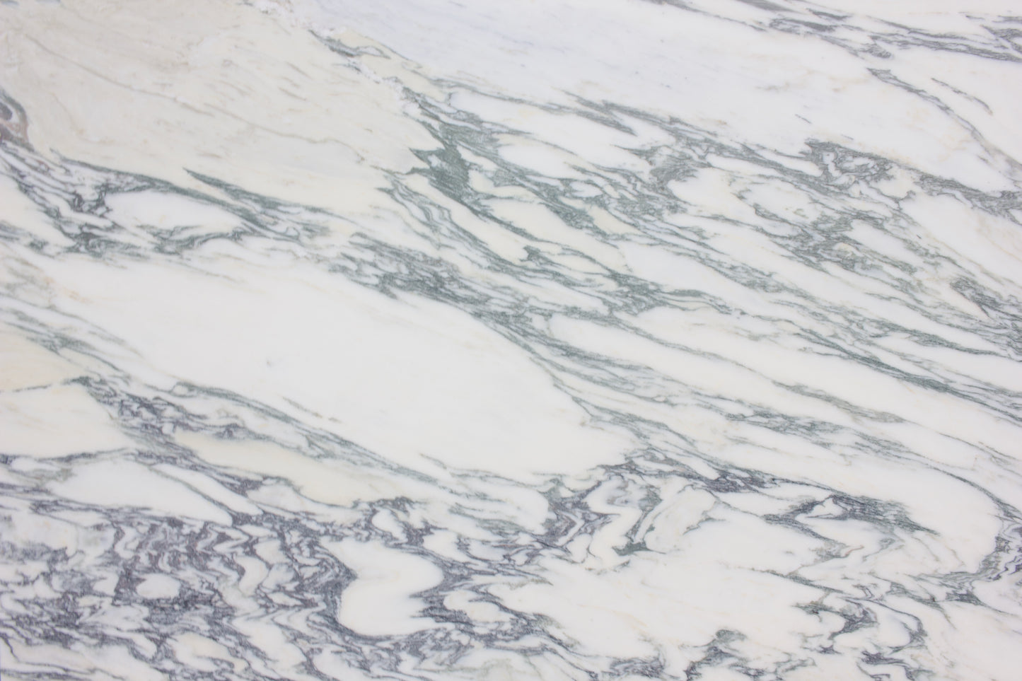 Viola Classic - Lot 1523 - 3CM  - 136x77