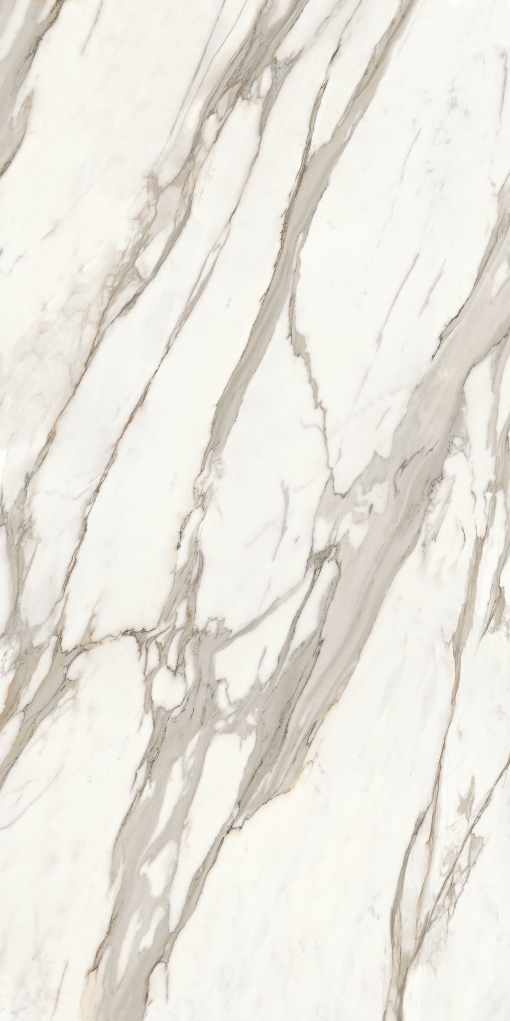 Calacatta Bernini