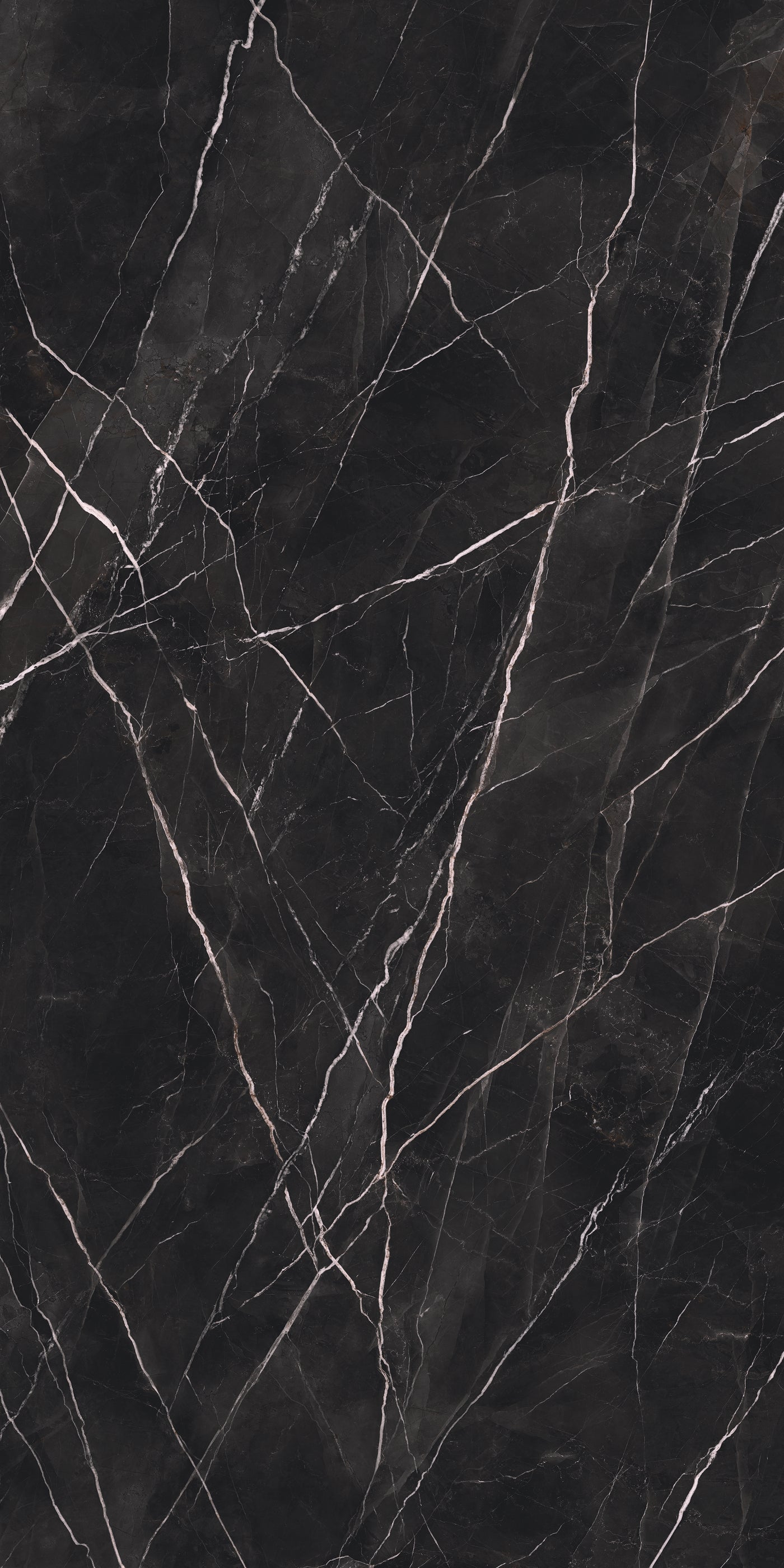 Calacatta Black — A Face