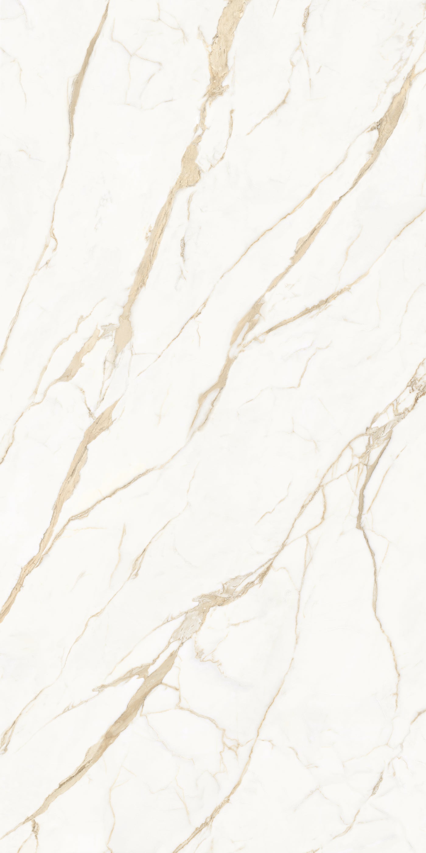 Calacatta Extra — A Face