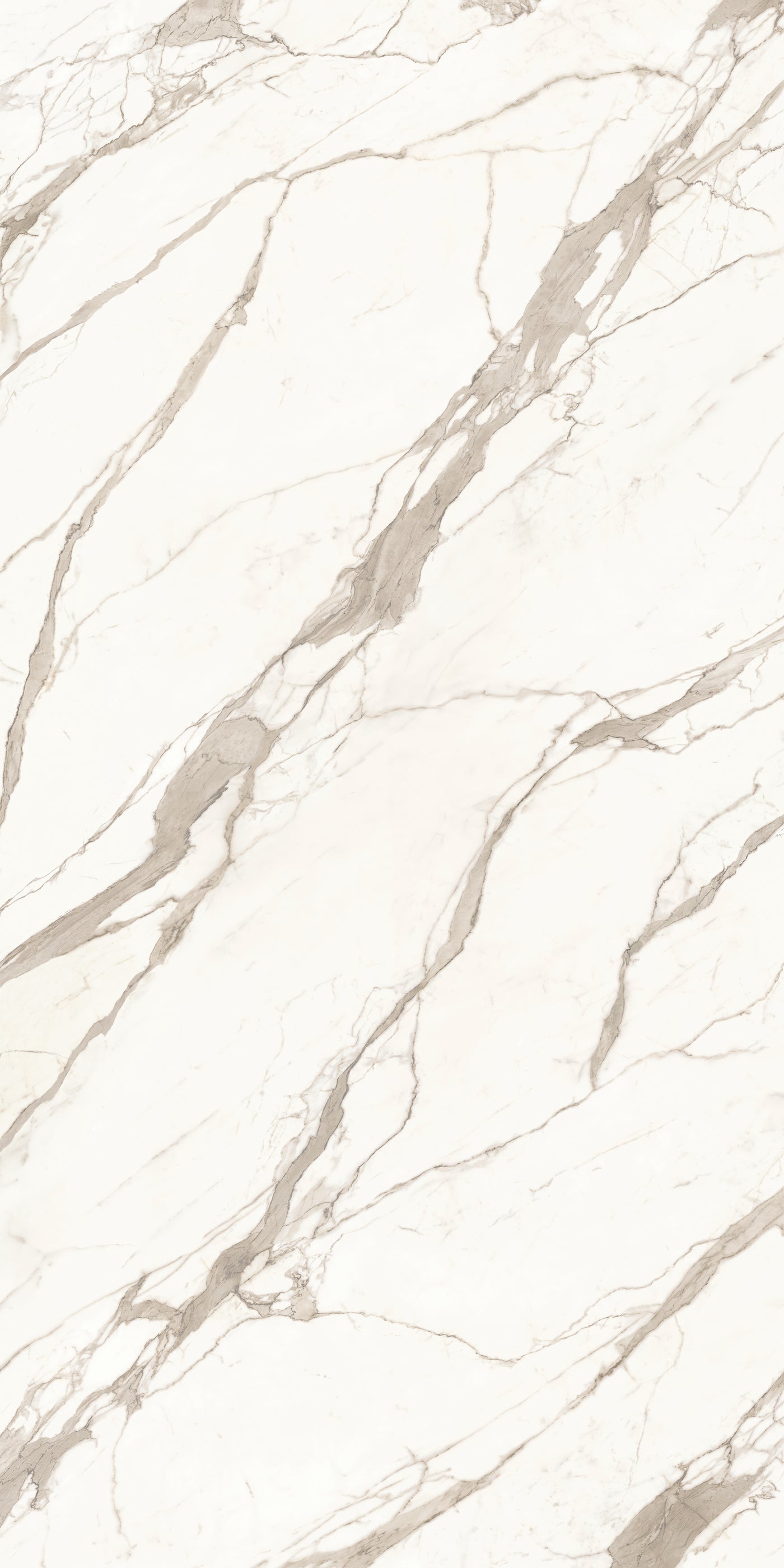 Calacatta Supremo — A Face