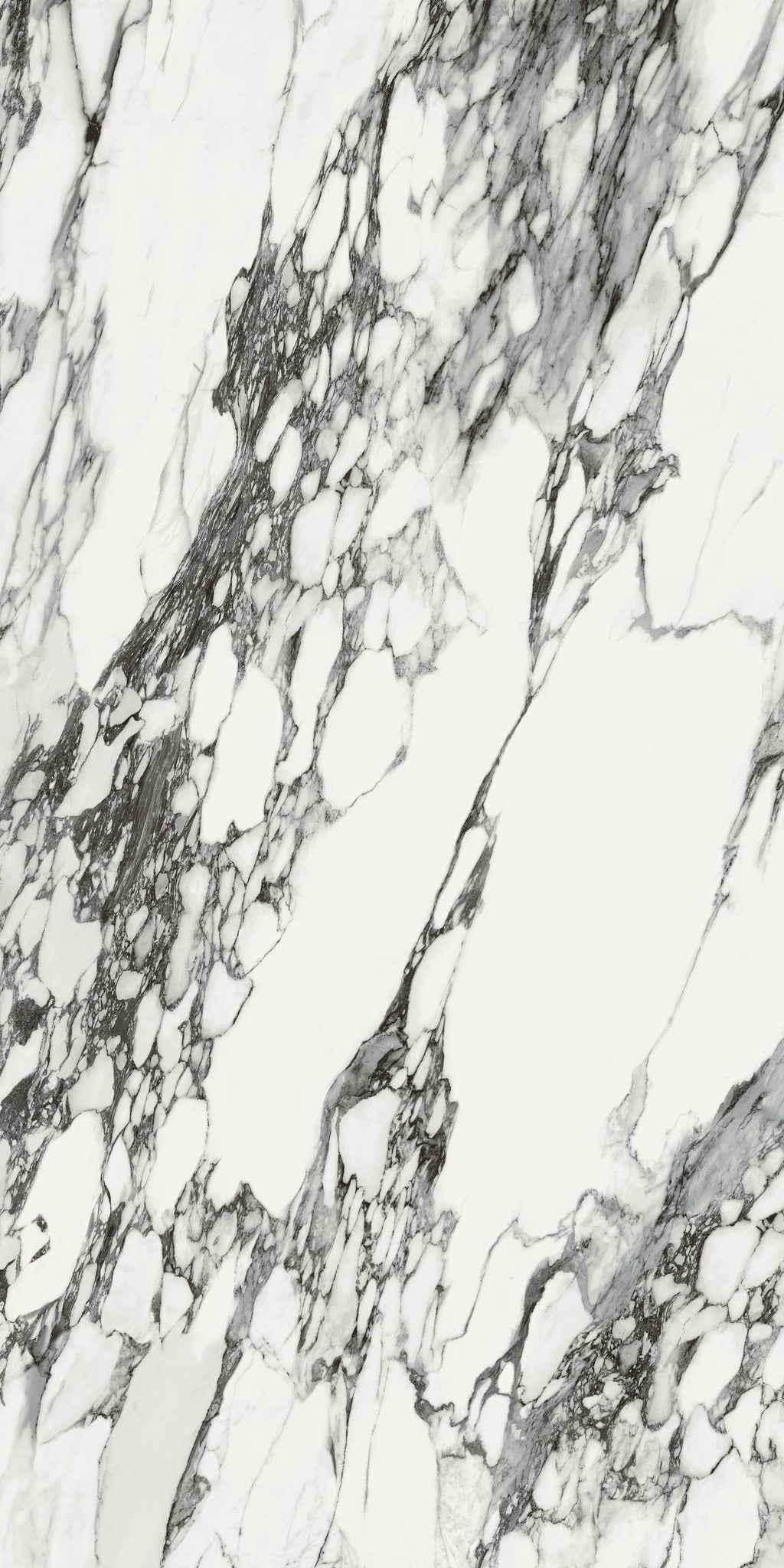Corchia Nero