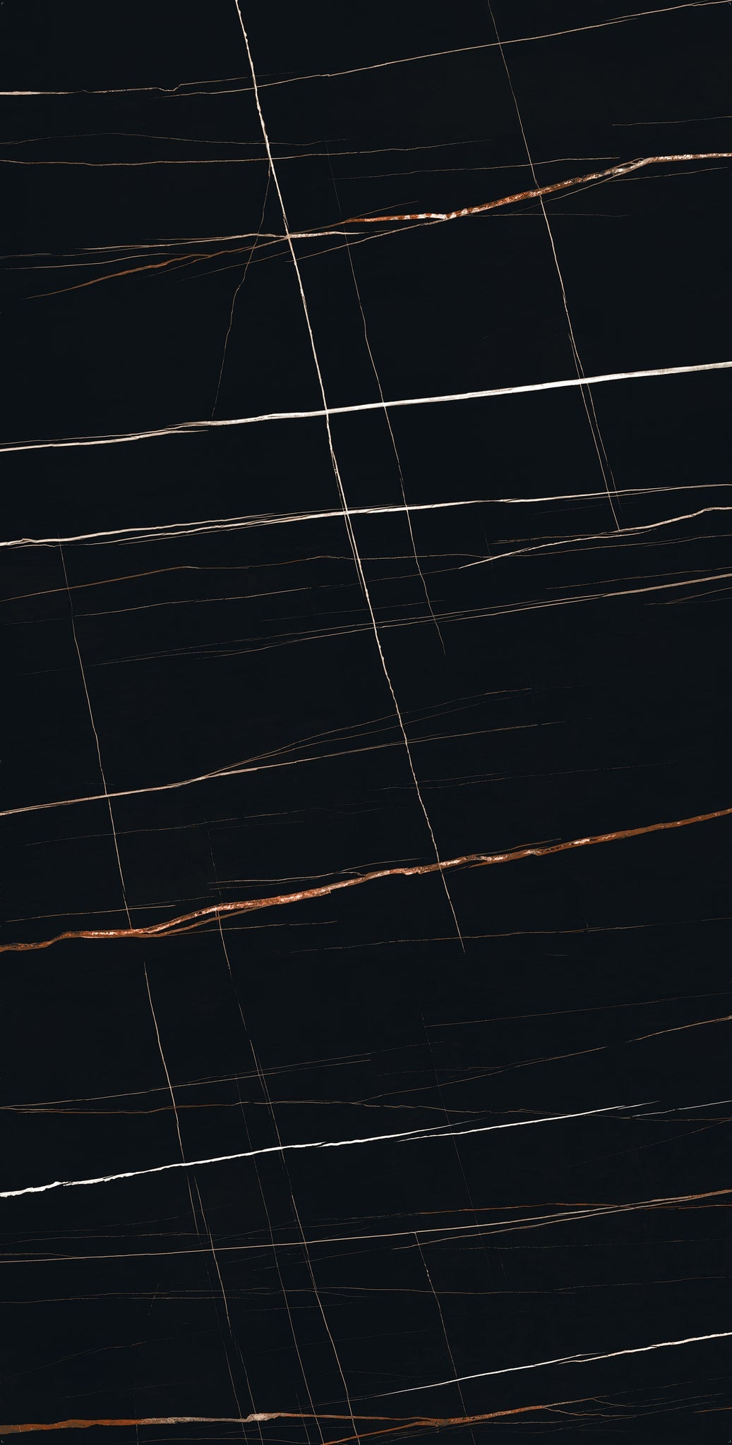 Sahara Noir