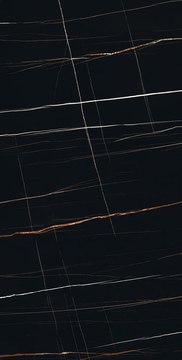 Sahara Noir